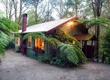 Cottage in the Forest - Olinda